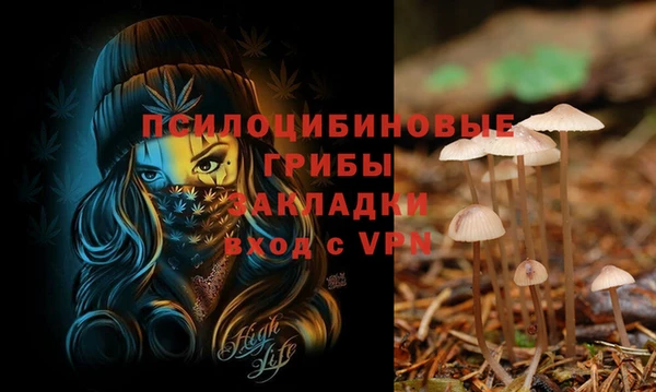 гидропоника Баксан
