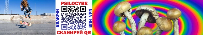 Псилоцибиновые грибы Psilocybe Стрежевой